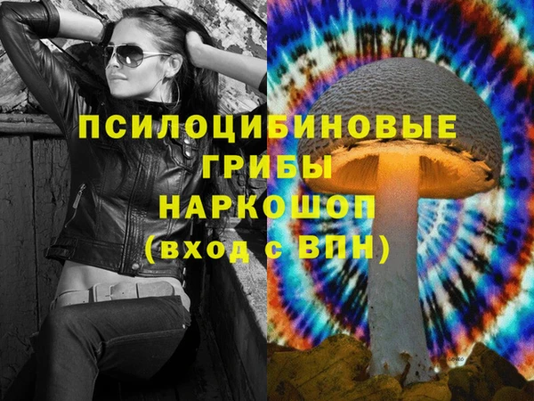 мяу мяу мука Кодинск