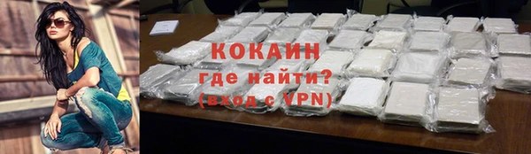 тгк Козельск