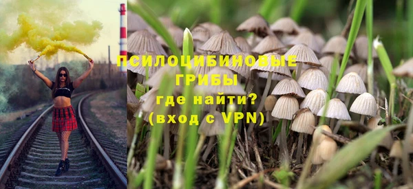 тгк Козельск